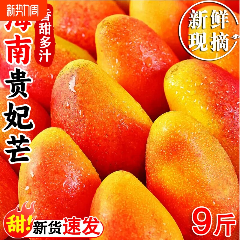 海南贵妃芒芒果新鲜当季水果树上熟现摘时令水果甜心芒果整箱包邮