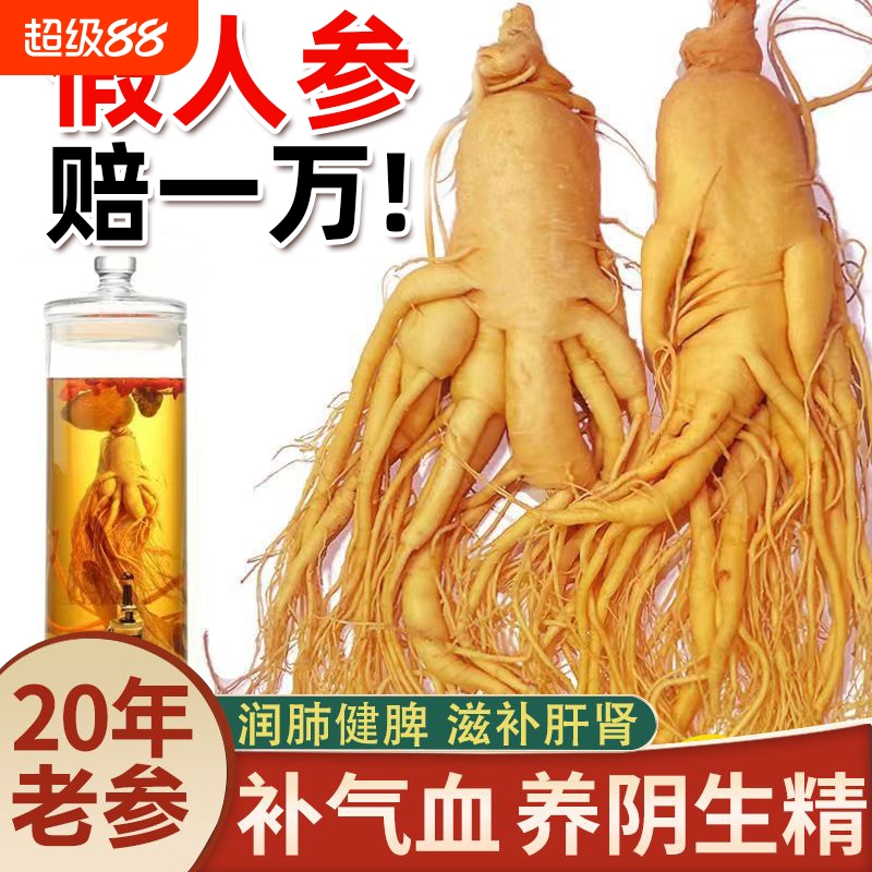 特大人参长白山保鲜参高龄吉林白参新鲜人参泡酒送礼专用滋补煲汤