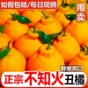 四川丑橘新鲜水果丑八怪当季新鲜孕妇手剥不知火桔子
