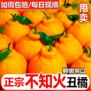 四川丑橘新鲜水果丑八怪当季 新鲜孕妇手剥不知火桔子