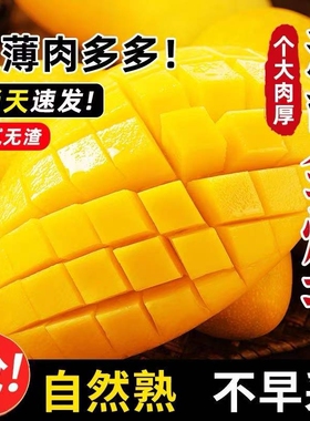 海南金煌芒果整箱9斤包邮新鲜现摘当季热带水果皮薄核小甜蜜多汁5