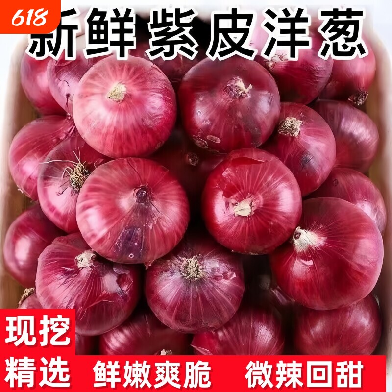 现挖现发紫皮洋葱新鲜圆葱红皮特产农家蔬菜自然鲜甜营养丰富