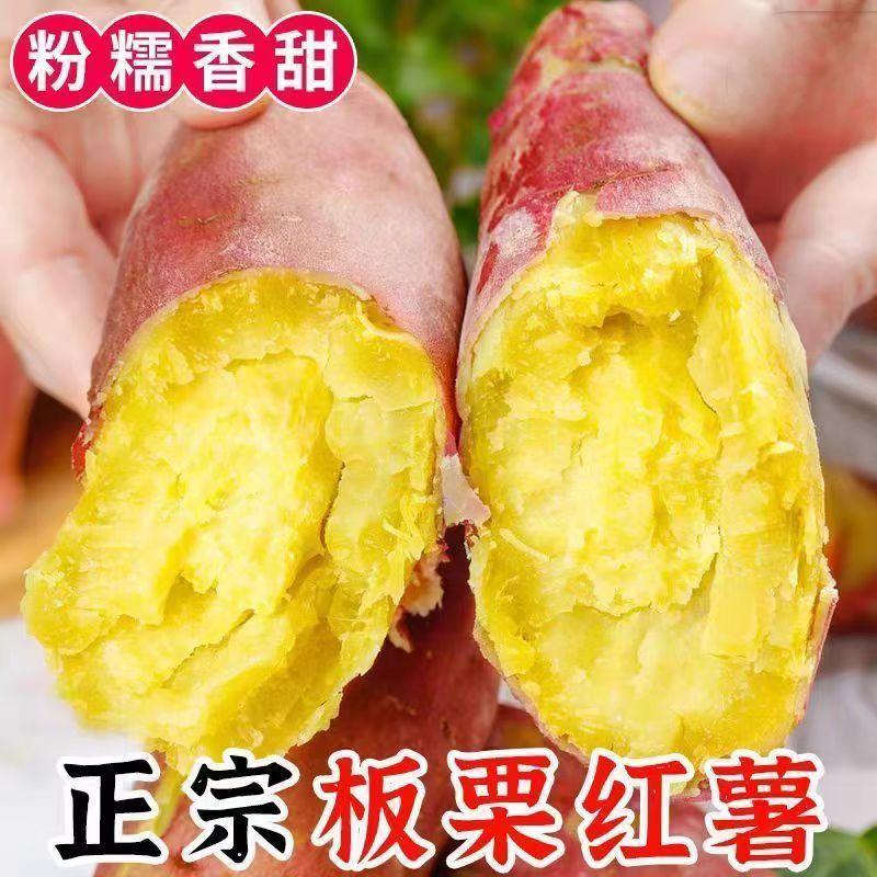 板栗薯河北粉糯香甜番薯