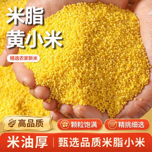 陕西农家黄小米新米养胃小黄米粥杂粮小米食用优质煮粥米油厚