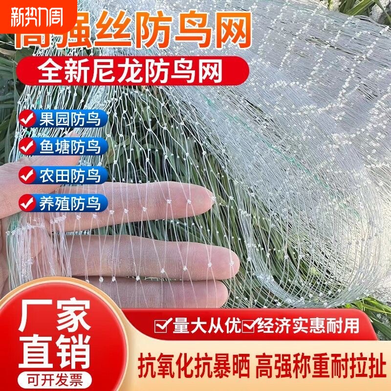 农用鱼线材质防鸟天网果树葡萄樱桃防鸟网鱼虾蟹池塘稻谷防鸟网