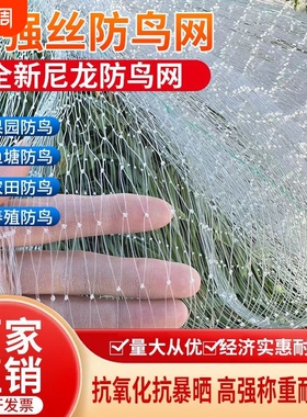 农用鱼线材质防鸟天网果树葡萄樱桃防鸟网鱼虾蟹池塘稻谷防鸟网