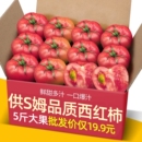正宗供商超品质沙瓤西红柿5斤装 普罗旺斯自然熟柿子蔬菜水果番茄