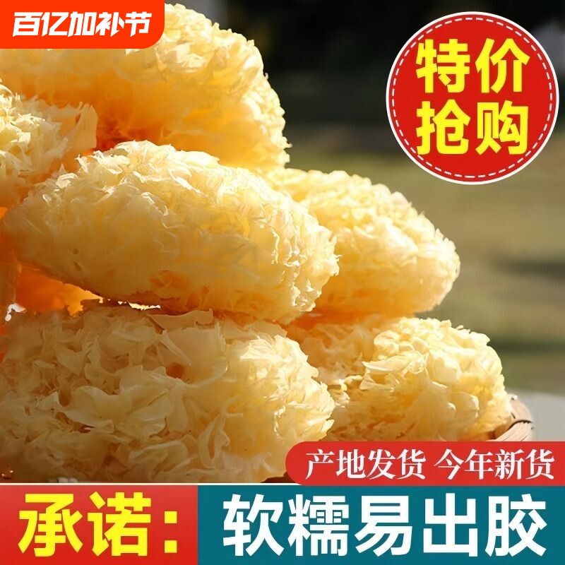 带头降价古田特产大花银耳菌状元干货正宗无硫大朵白木耳莲子食材