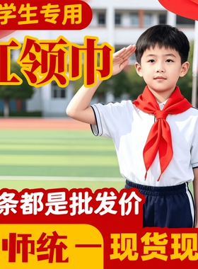 红领巾小学生统一采购批发大批量