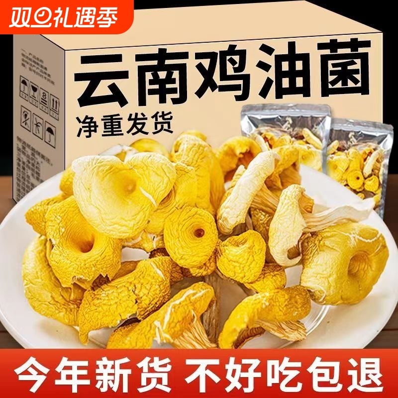 鸡油菌干货菌云南蘑菇新鲜干黄丝菌菇黄金菇榆黄菇煲汤500g香菇