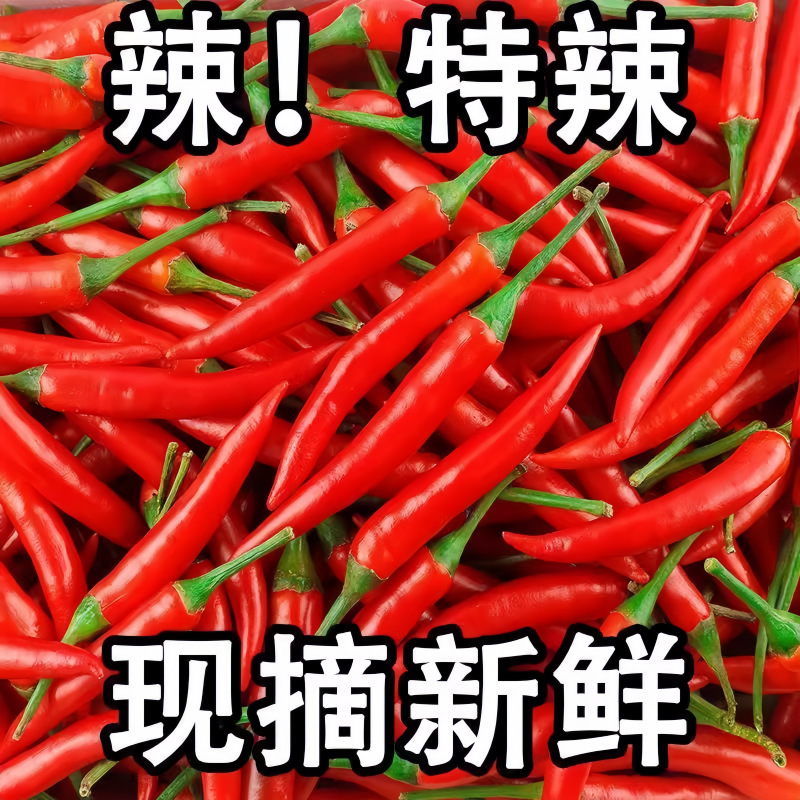 正宗小米辣椒新鲜朝天椒现摘指天椒农家自种特辣小红辣椒批发