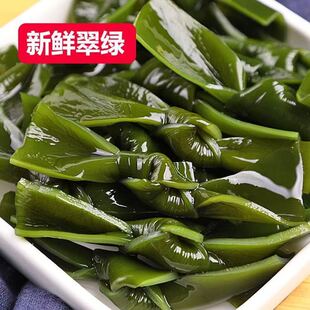 新鲜少盐嫩绿盐渍海带结商用小结中小扣火锅麻辣烫串串香用多规格