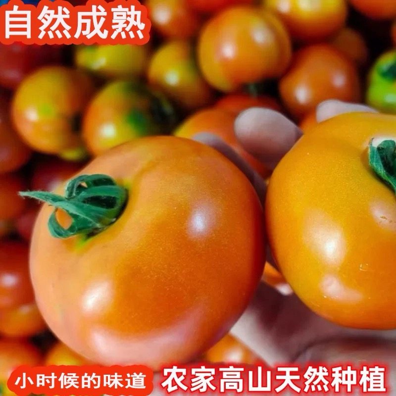 【顺丰包邮】露天种植沙瓤西红柿新鲜自然熟农家酸甜番茄新鲜现摘,水产肉类/新鲜蔬果/熟食,番茄,淘宝优惠券,粉丝福利购,淘宝优惠卷