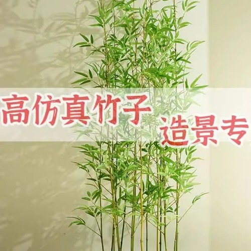 商用布景仿真竹子1.2米-4.5米多规格 商场展厅室内外环境布置绿植