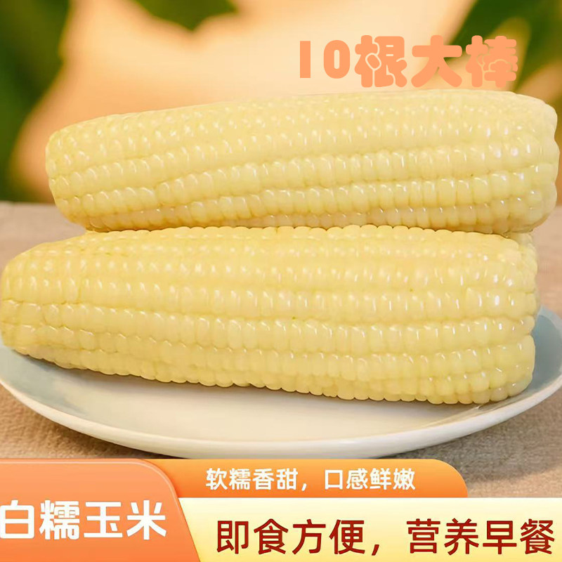 新鲜白糯玉米黑龙江玉米10支装真空包装加热即食粗粮宝宝孕妇代餐,粮油调味/速食/干货/烘焙,玉米,淘宝优惠券,粉丝福利购,淘宝优惠卷
