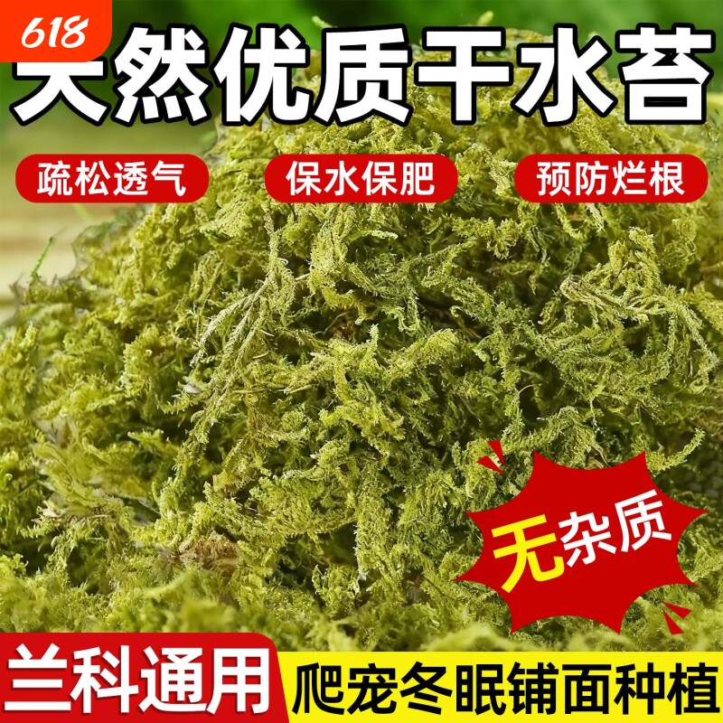 新鲜干苔藓蝴蝶兰花专用水苔青苔铁皮兰花种植育苗营养土爬宠垫材