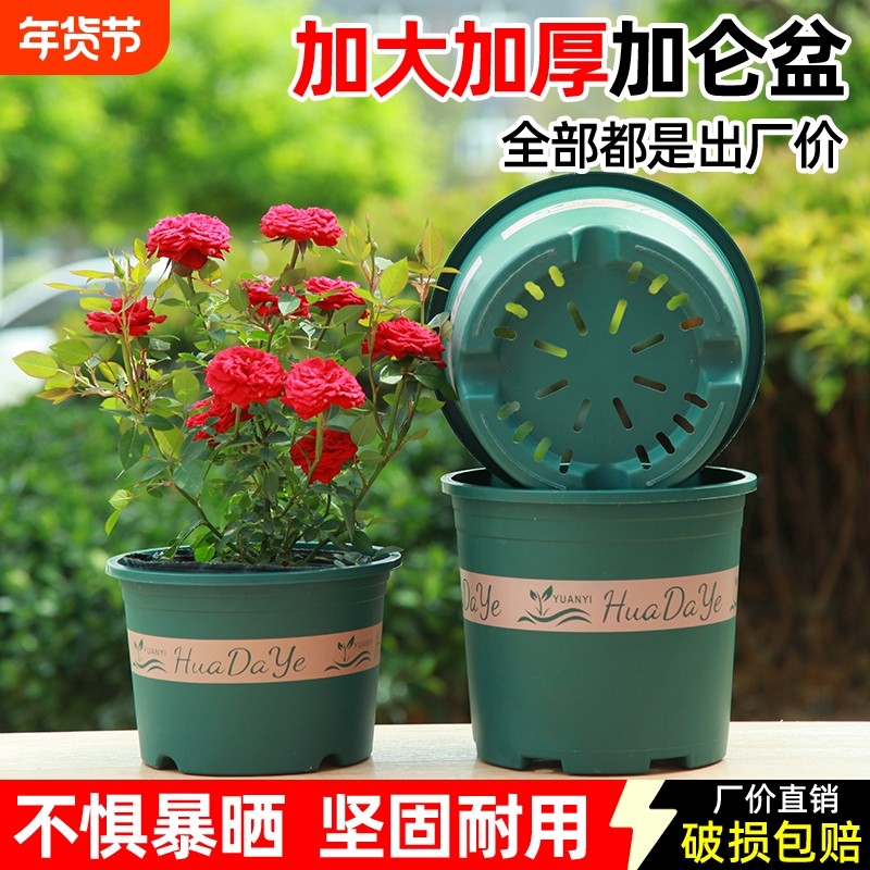花大爷圆形花盆加厚耐用透气不闷根绿植盆栽三代加仑盆带托盘高款,鲜花速递/花卉仿真/绿植园艺,花盆,淘宝优惠券,粉丝福利购,淘宝优惠卷