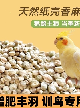 麻子鸟粮 纸壳麻子大粒牡丹鹦鹉粮奖励零食油纸皮火麻籽鸽粮鸟食
