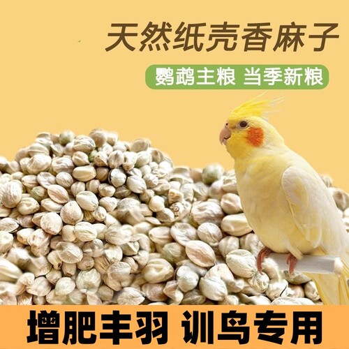 麻子鸟粮纸壳麻子大颗粒牡丹鹦鹉