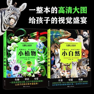 【全2册】儿童纸上纪录片：小植物+小自然 波点童趣 一整本的高清大图 给孩子的视觉盛宴 少儿科普绘本百科绘本漫画 磨铁图书正版