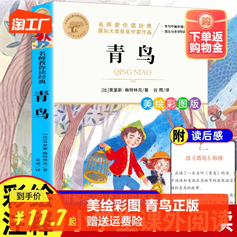 【彩图正版】青鸟书正版 三四五六年级课外书必读老师推荐国际大奖儿童文学经典名著 美绘典藏版原著世界名著中小学生课外阅读书籍怎么看?