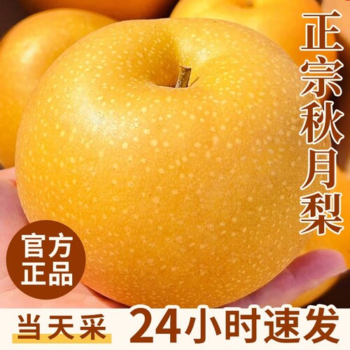 【当季鲜果】脆嫩多汁皮薄如纸