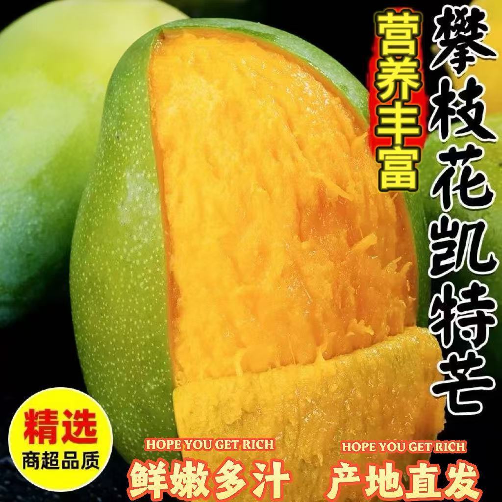 正宗攀枝花凯特芒果香甜青皮大脸芒果园现摘直发应季孕妇新鲜水果