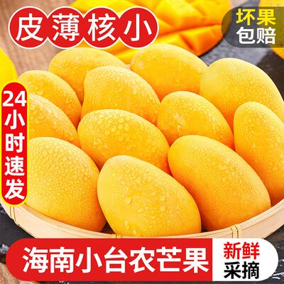 海南小台芒新鲜水果当季整箱斤大果应热带自然熟台农甜芒果10包邮