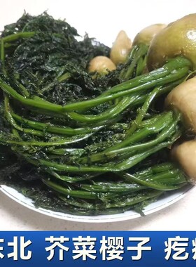 25年新菜东北芥菜樱子5斤炖豆腐