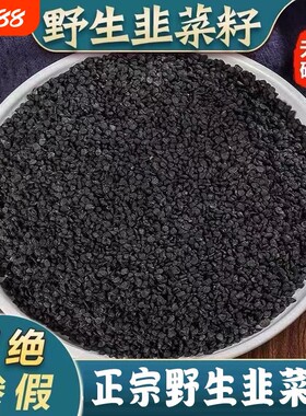 野生韭菜籽中药材官方旗舰店药用熟韭菜子食用韭菜籽男性泡酒泡茶