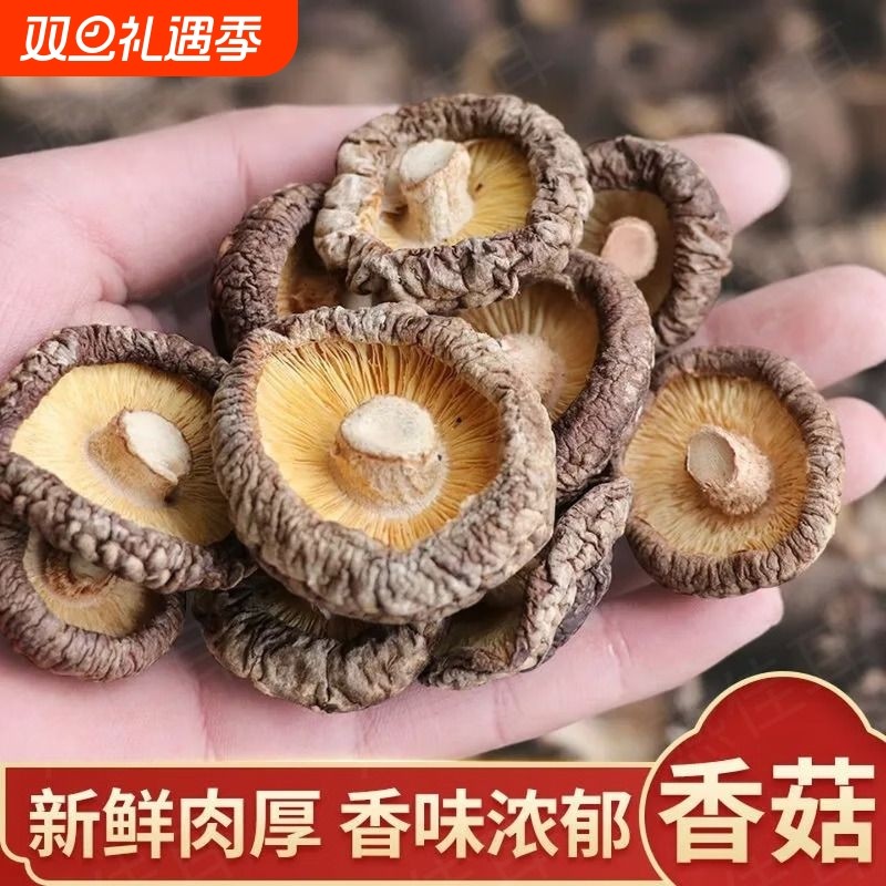 香菇干货商用新鲜古田干香菇小冬菇蘑菇香茹 古田香菇(菇味浓厚)