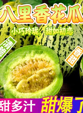 正宗山东花美人甜瓜八里香脆甜香瓜新鲜水果应季时令整箱包邮绿宝