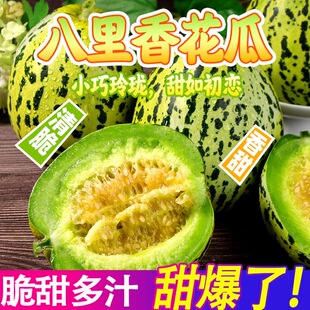 正宗山东花美人甜瓜八里香脆甜香瓜新鲜水果应季时令整箱包邮绿宝
