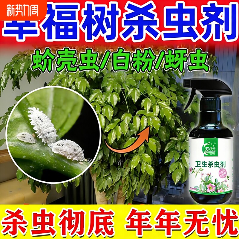 幸福树杀虫药灭除蚧壳虫绿宝树蚜虫红蜘蛛白粉虱植物专用杀虫喷剂