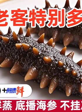 海参大连即食刺参冷冻海刺参500g水产滋补食物年货礼盒装送礼泡发