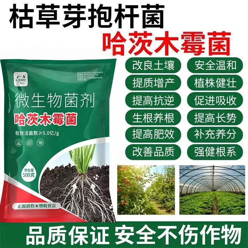 哈茨木霉菌霜毒病长枝菌病疫白粉病农家用枯叶病快刀斩微生物菌剂