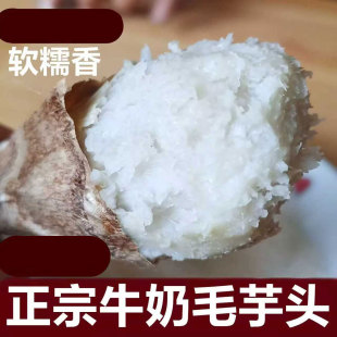 新鲜毛芋头特产牛奶毛芋头2025年新货老品种小芋头芋艿软糯香