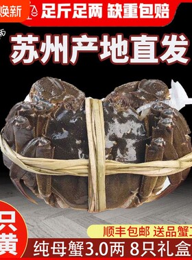苏州大闸蟹产地直发鲜活螃蟹公4两可全母3两8只高端礼盒装顺丰