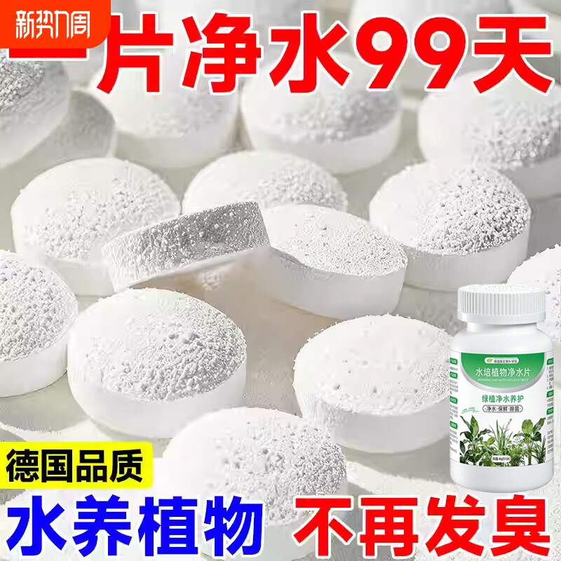 水培植物净水片鲜花花卉保鲜剂不臭水碗莲专用通用消毒片净化水质