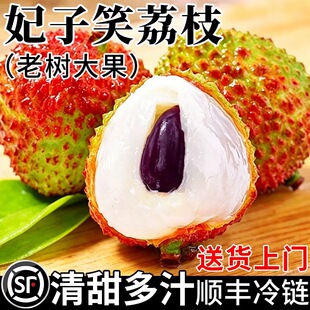 妃子笑荔枝新鲜水果当季现摘应季老树大果王顺丰整箱包邮送礼采摘