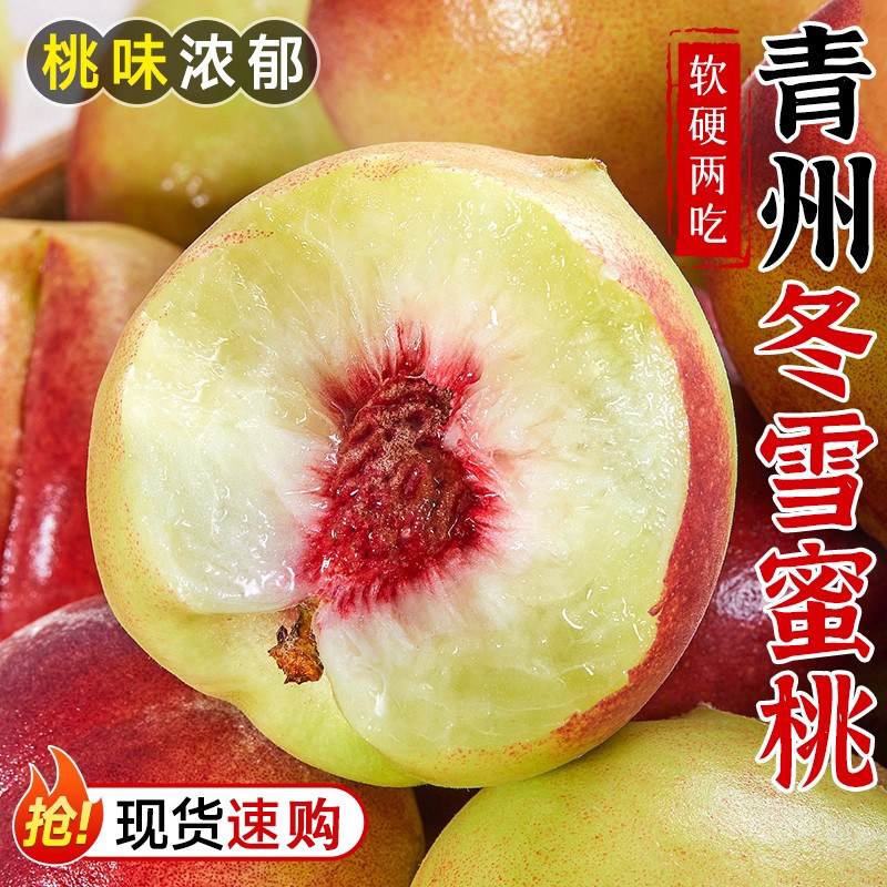 青州蜜桃5斤冬雪桃水蜜桃小毛脆桃当季时令水果新鲜桃子整箱包邮