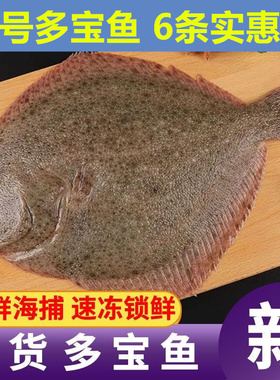新鲜多宝鱼新鲜比目鱼野生海鲜鱼类水产冷冻海鲜包邮水产冷冻海鲜