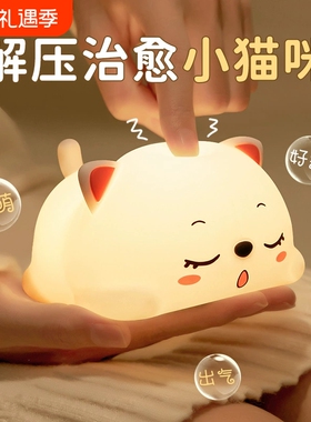 夜发泄拍拍灯充电玩具睡眠解压情人节送女生礼物实用桌面摆件猫咪