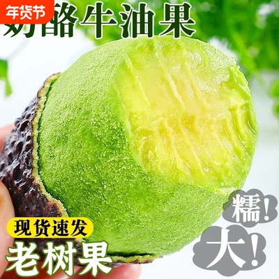牛油果大果新鲜水果15当季整箱