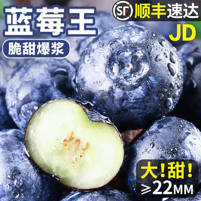 云南花香高山蓝莓新鲜果应当季水果枝l25整特大果怡佳颗冠包邮沃