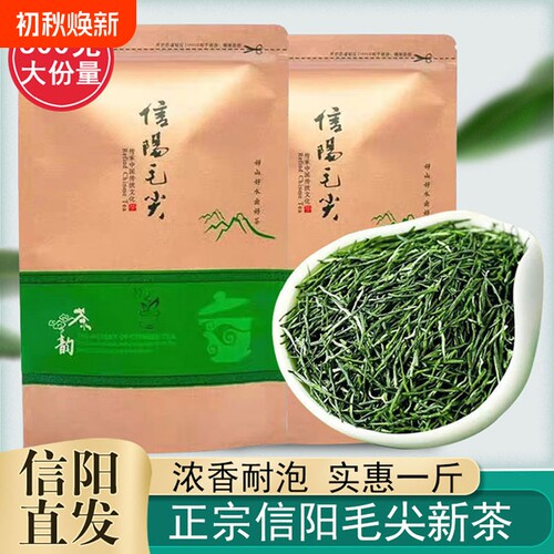 信阳毛尖2026新茶叶明前手工毛尖