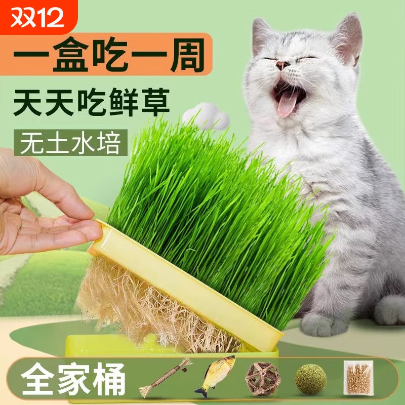 猫咪猫草水培盒种子无土栽培猫零食化毛盆水培盆种植土培麦草麦种