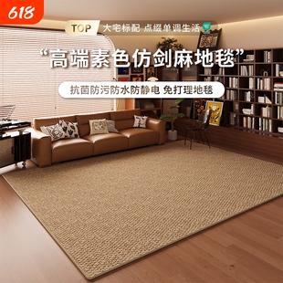 仿剑麻地毯客厅耐磨仿猫爪免洗侘寂中古风地垫奶油高级卧室床边毯