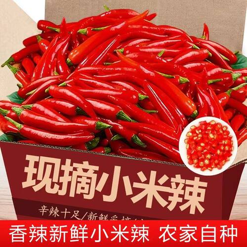 正宗小米辣椒新鲜5斤批发小米椒朝天椒特辣薄皮红辣椒指天椒自种