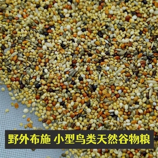 投鸟食鸟粮鸟粮野外专用麻雀喂野外小型布施带壳鸟粮斑鸠粮天然